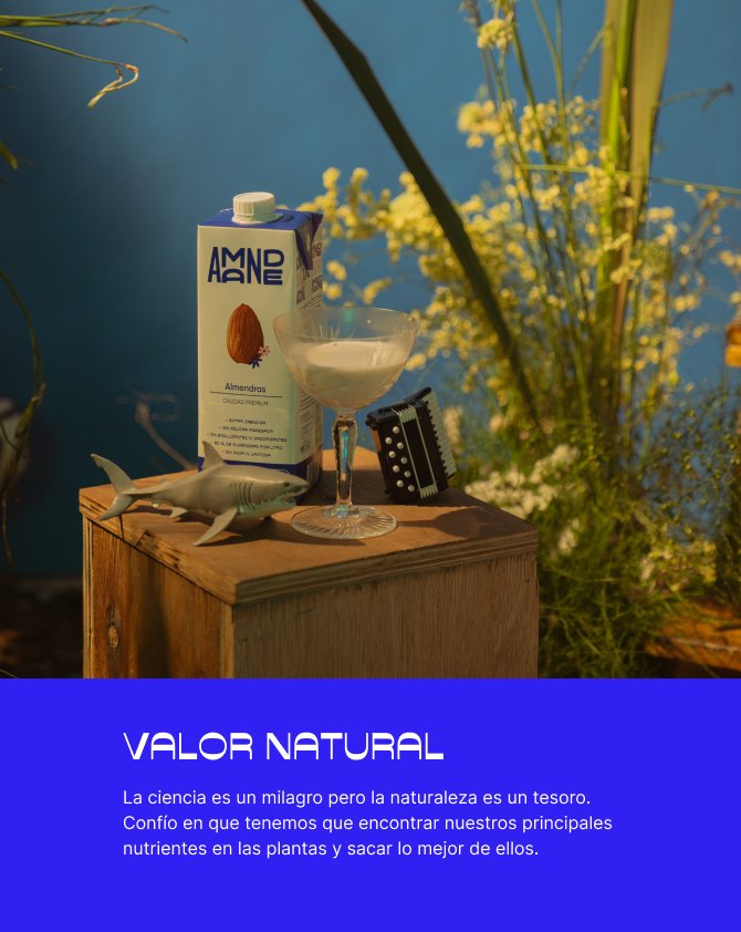 VALOR NATURAL